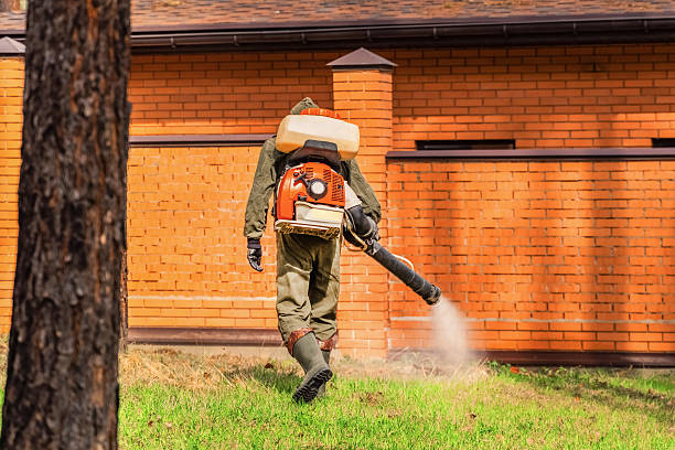 Trusted Ant Control service in Rancho Murieta, CA - Nex Pest Control